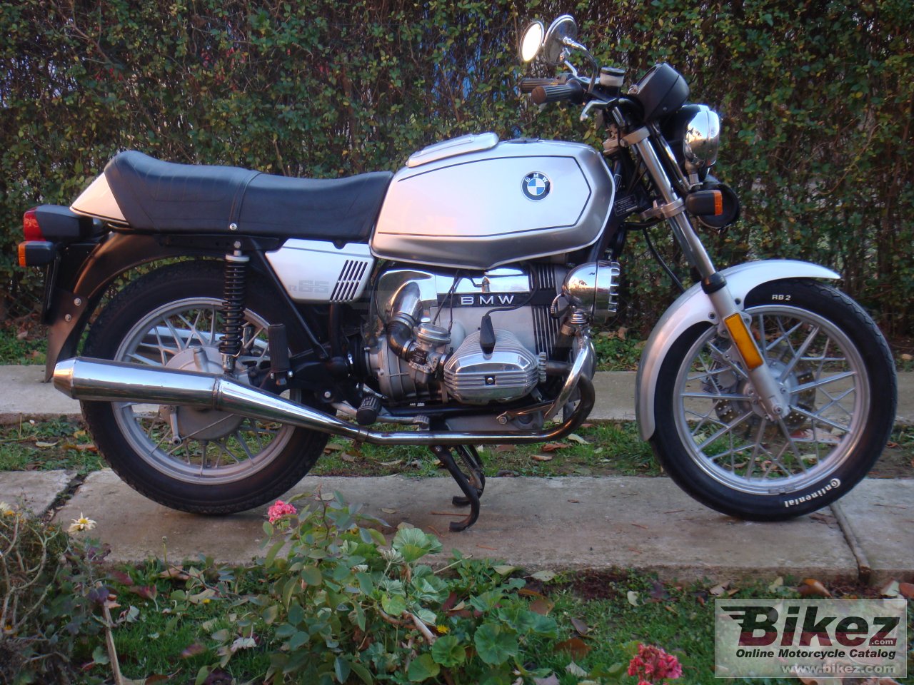 Bmw R 65