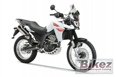 Terra Adventure 125