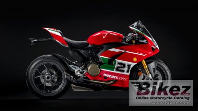 Panigale V2 Bayliss