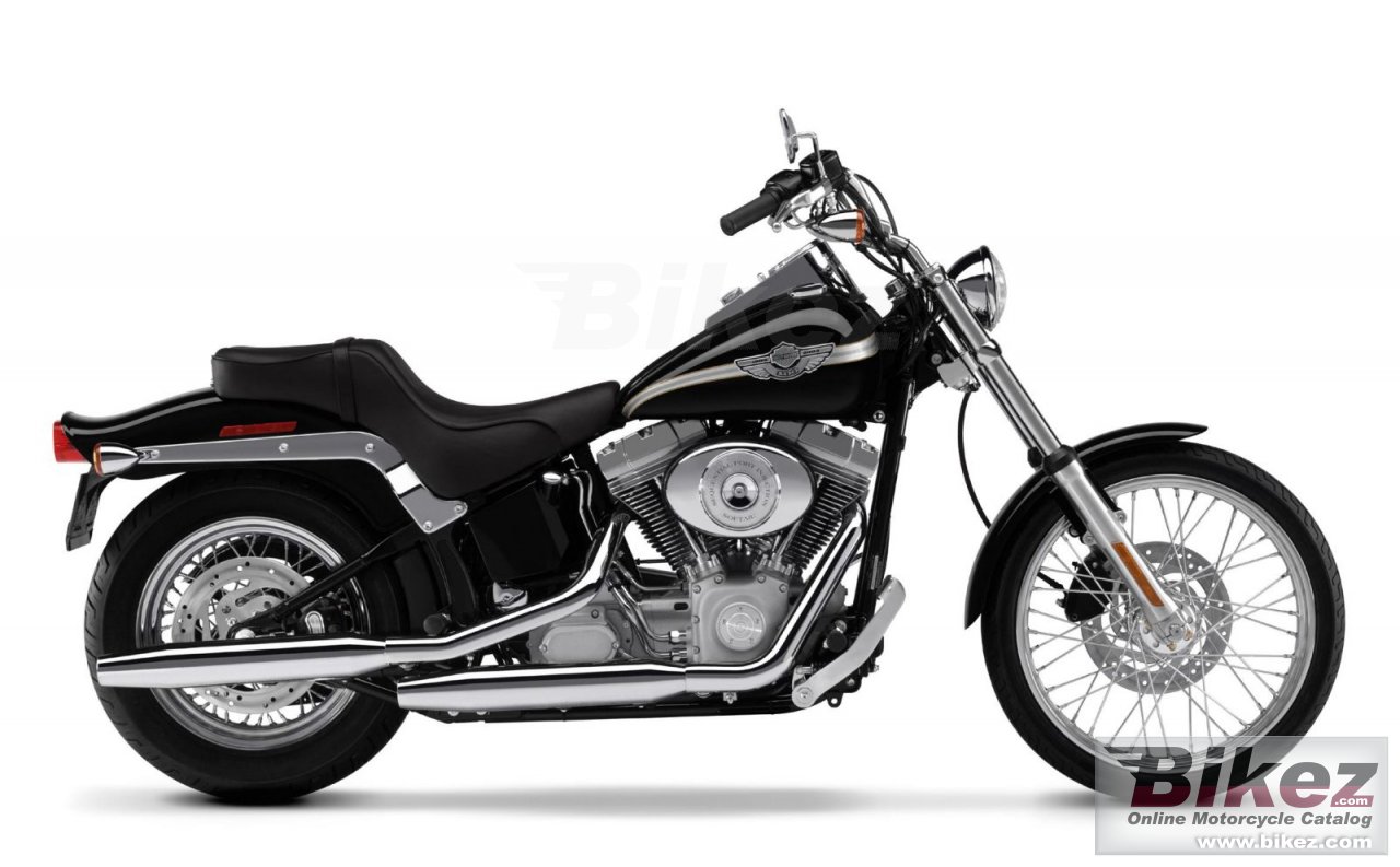 Fxst Softail Standard