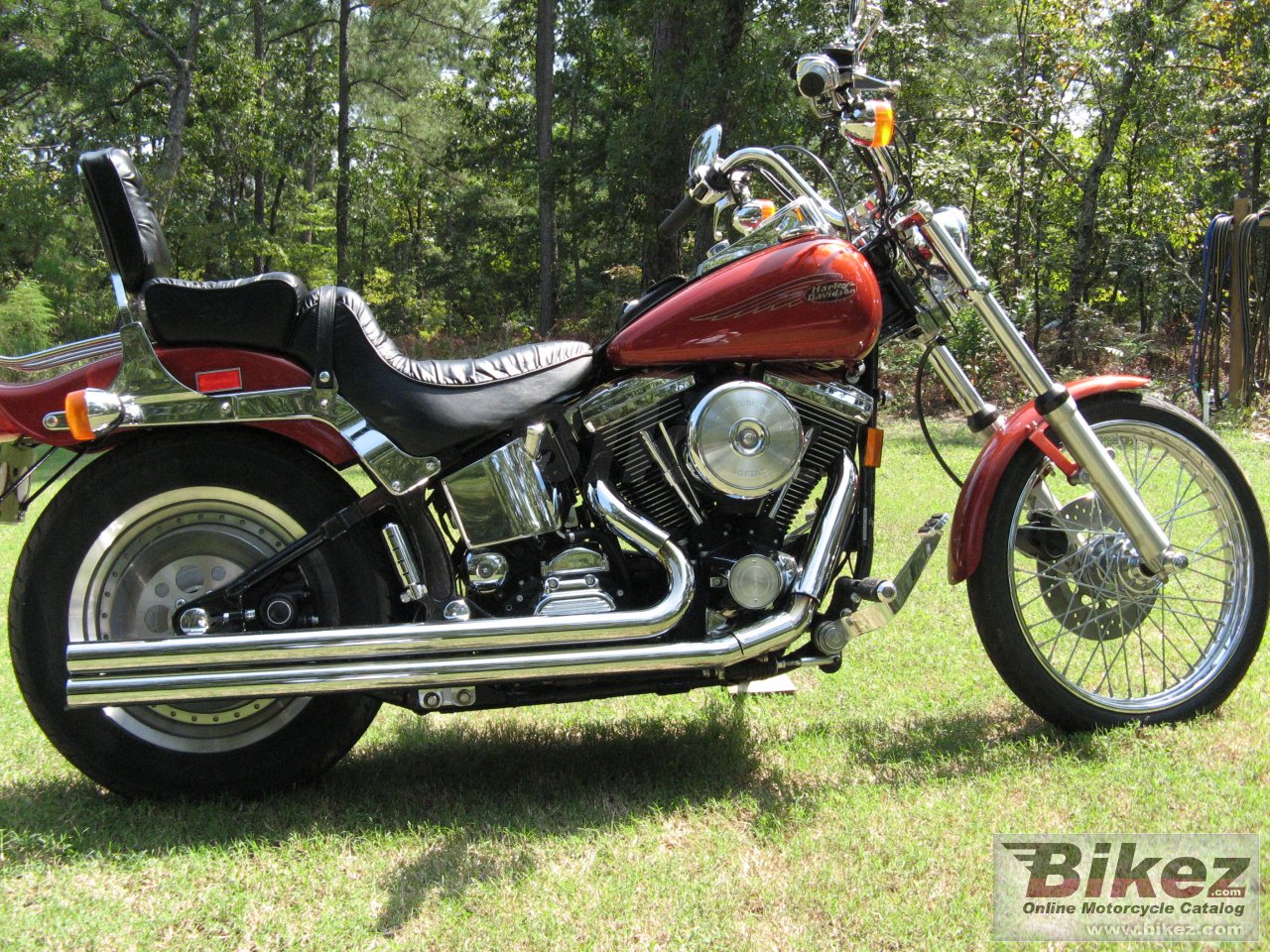 Fxstc Softail Custom