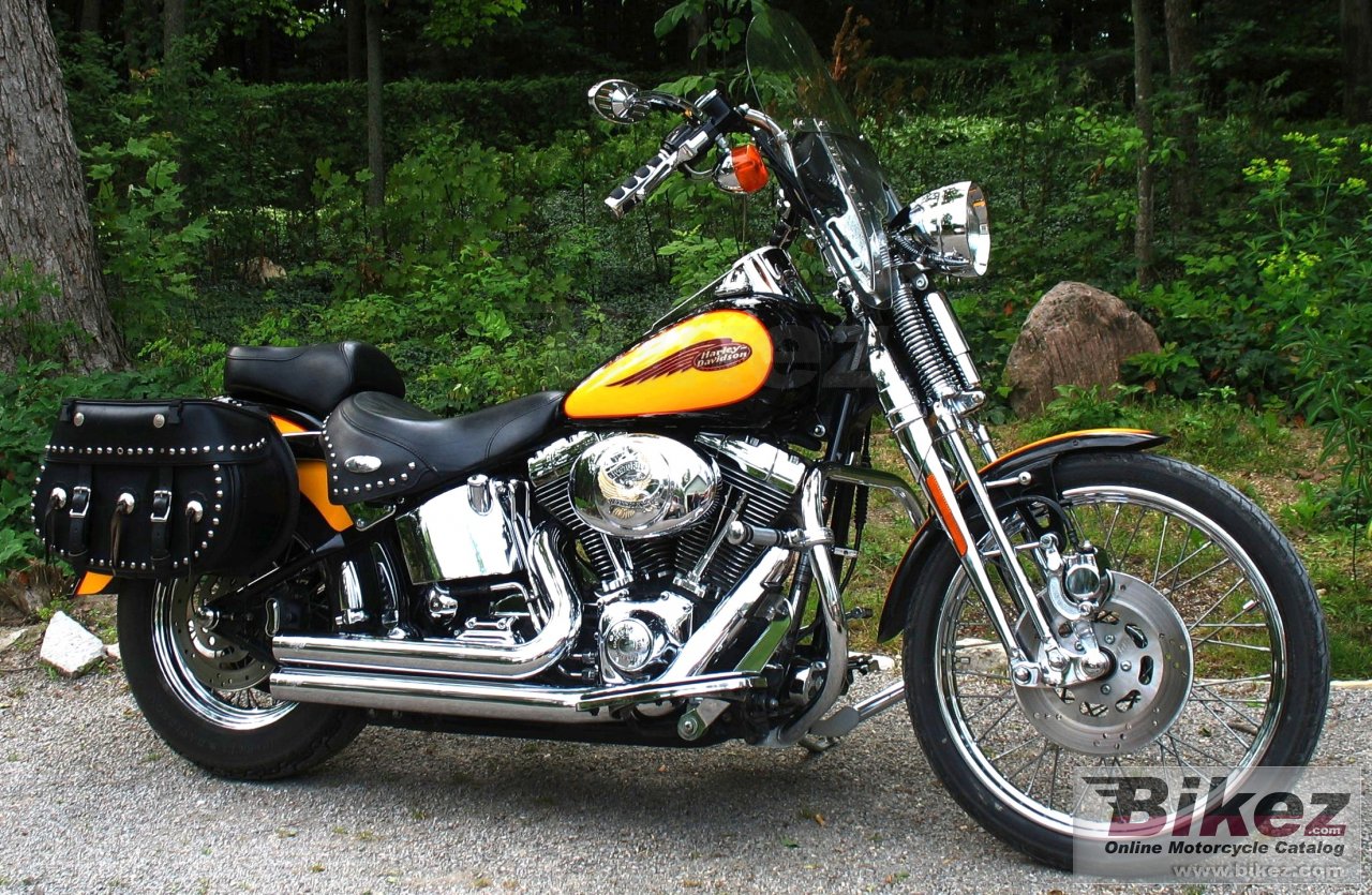 Fxsts Springer Softail