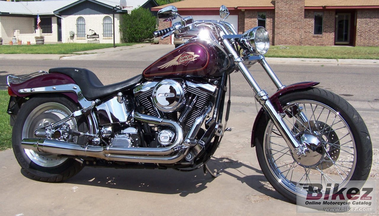Softail Custom