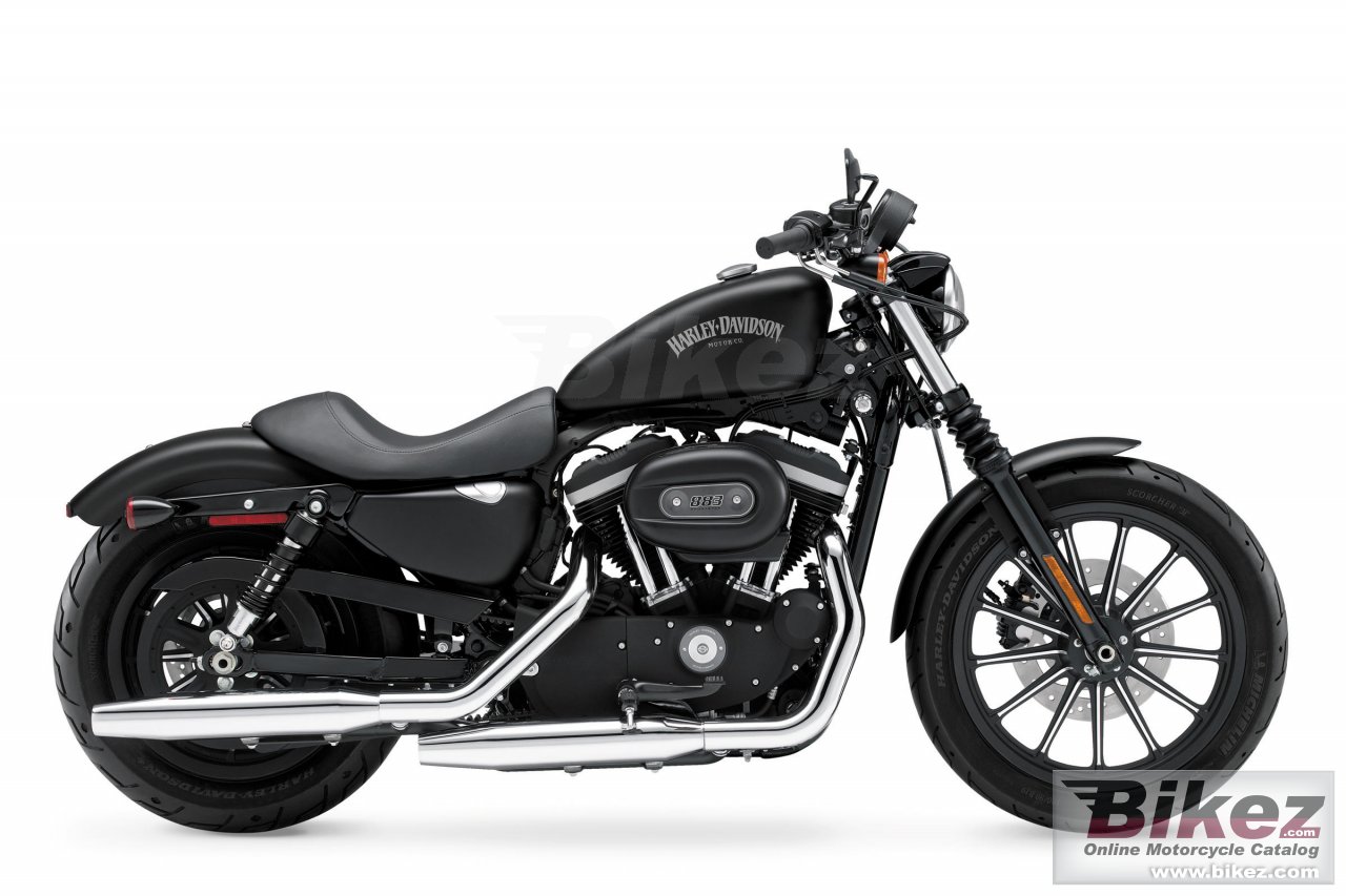 Sportster Iron 833