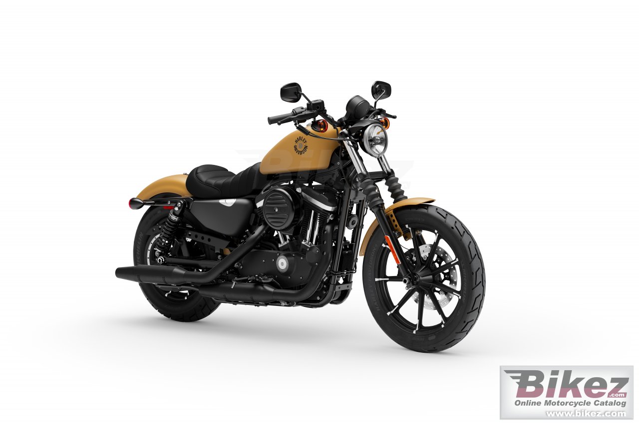 Sportster Iron 883