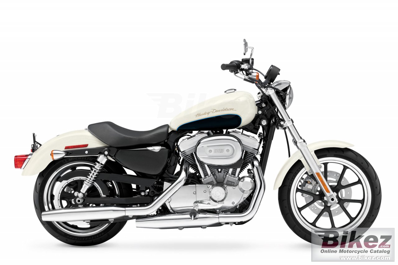 Sportster Superlow