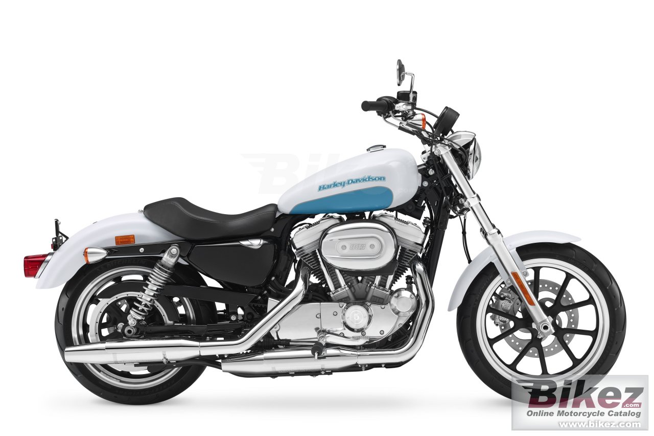 Sportster Superlow