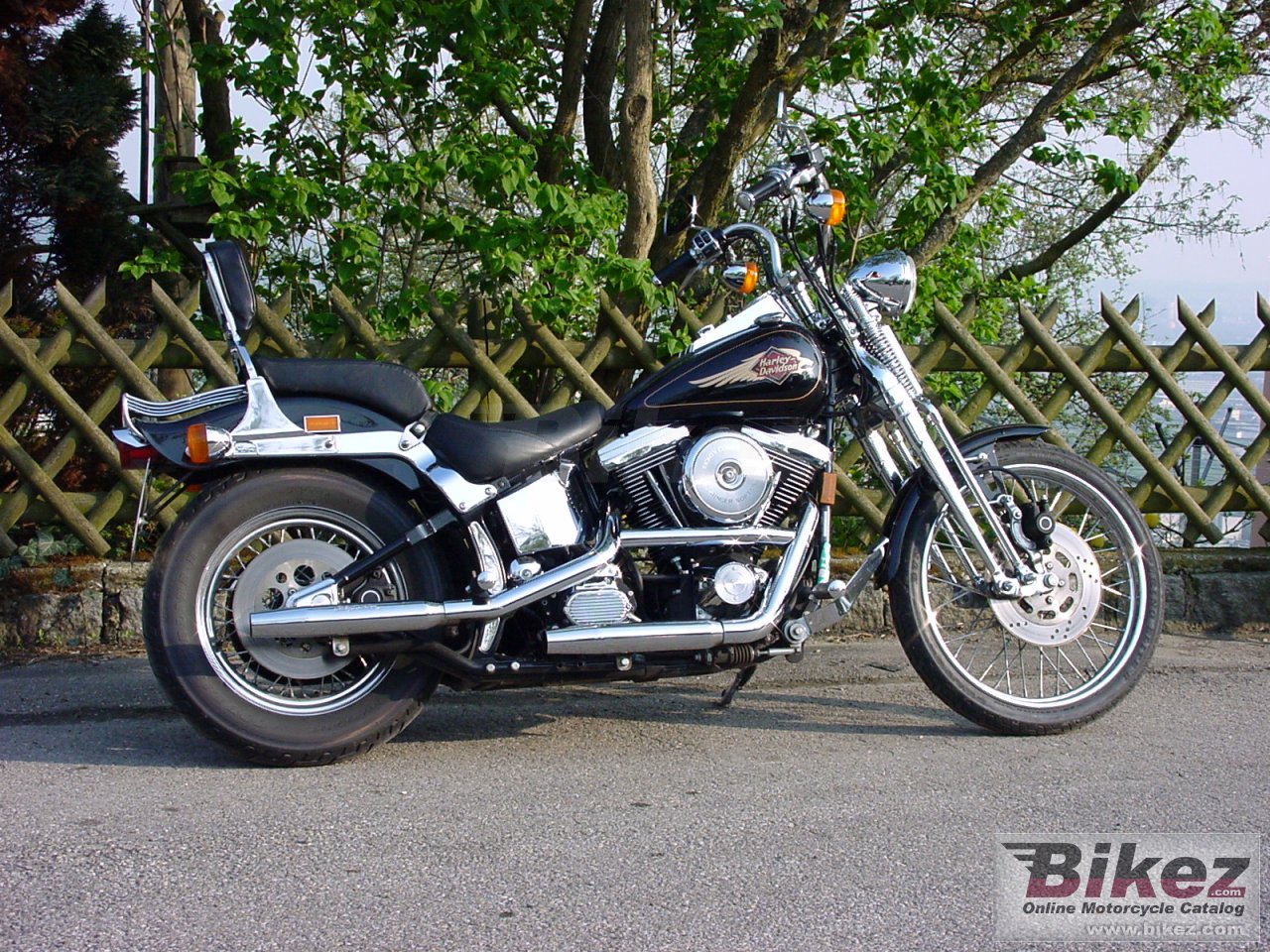 Springer Softail