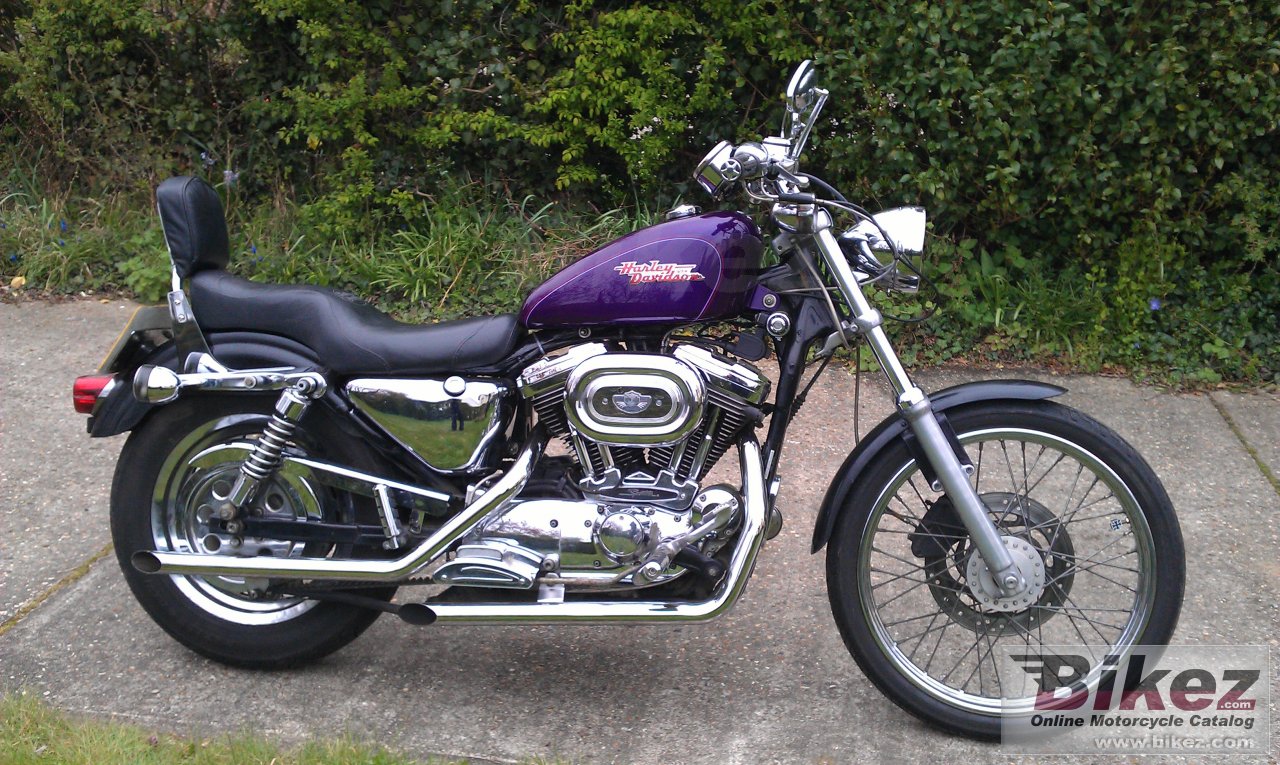 Xl 1200 C Sportster Custom