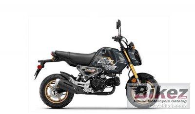 Grom Sp