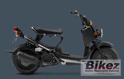 Honda Ruckus