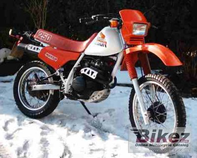 Xl 250 R