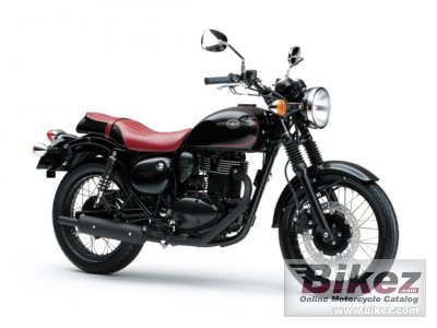 Estrella Special Edition