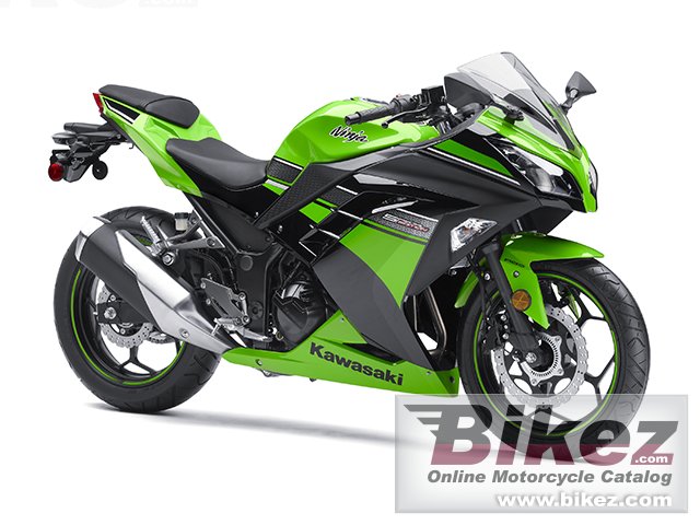 Ninja 300 Abs