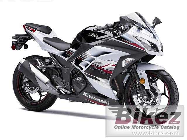 Ninja 300 Abs Se