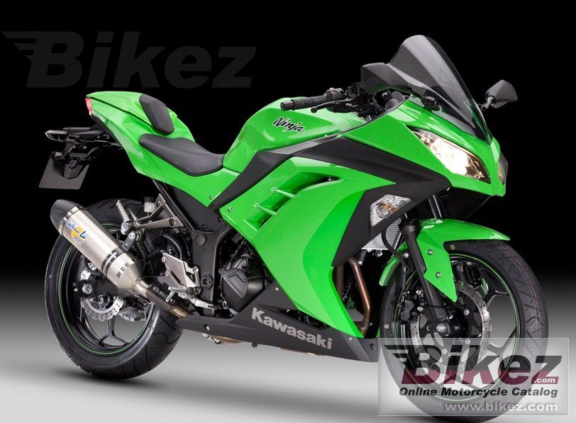 Ninja 300 Performance