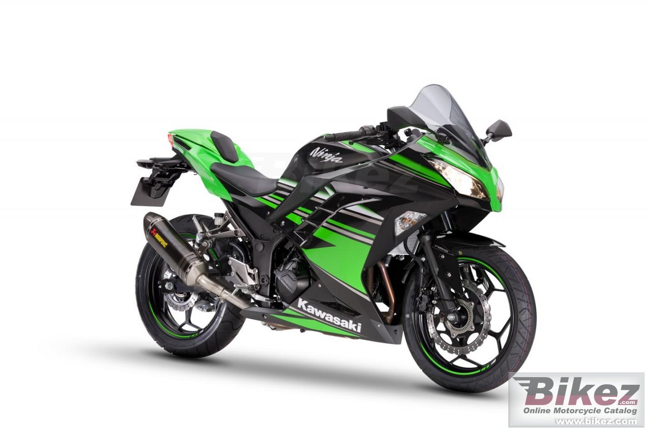 Ninja 300 Performance