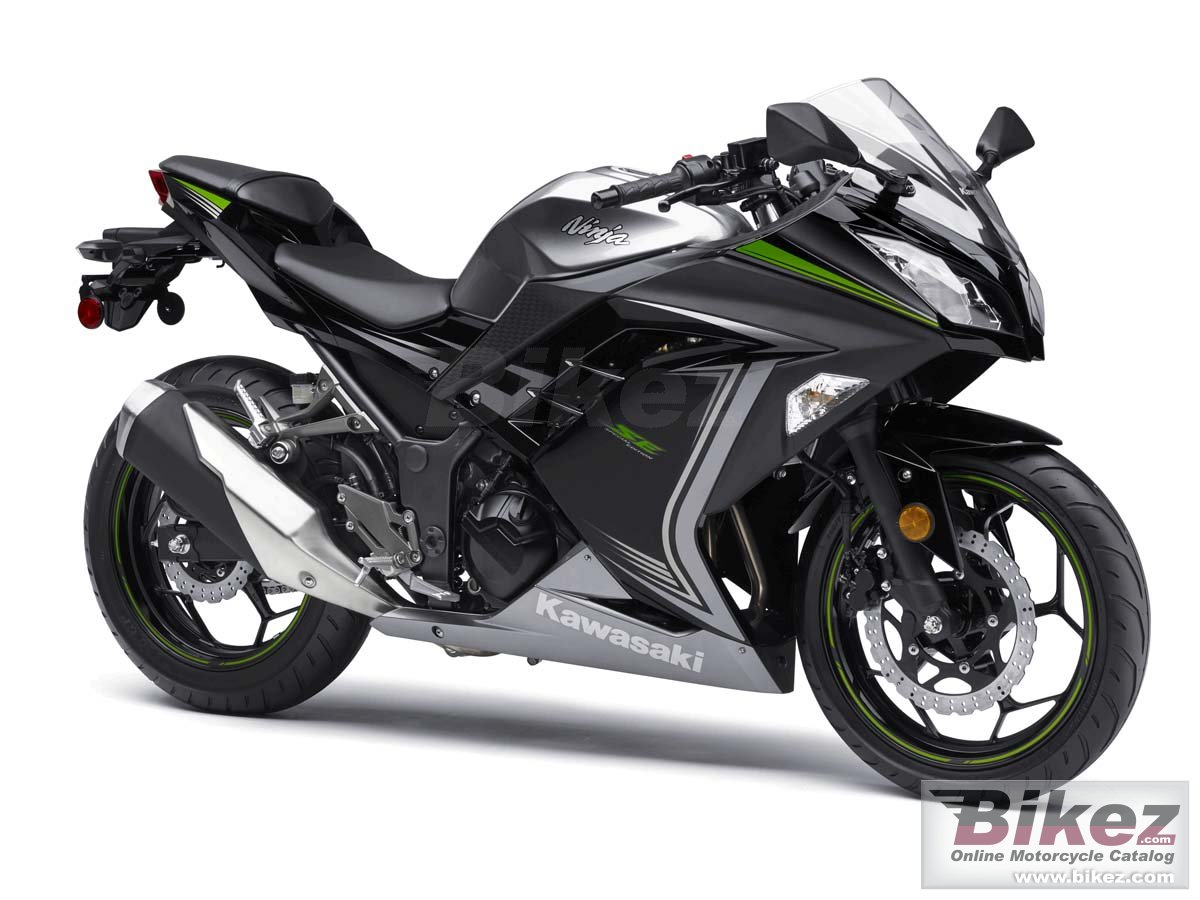 Ninja 300 Se