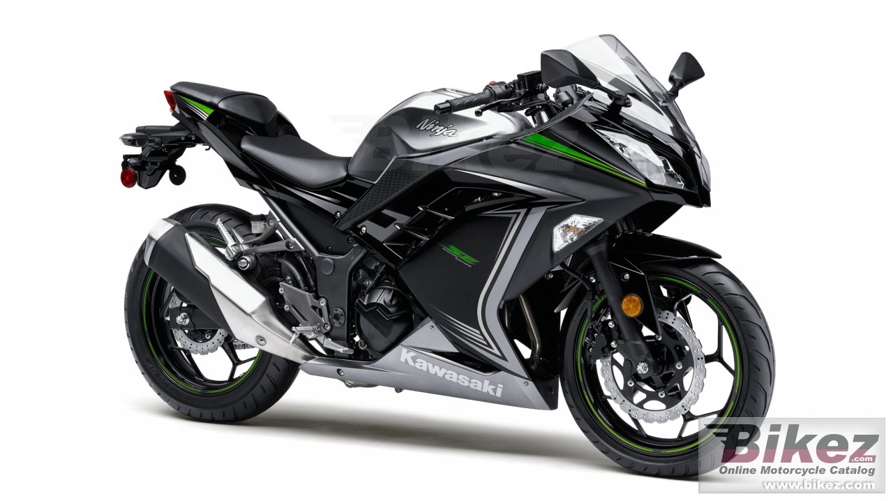 Ninja 300 Se