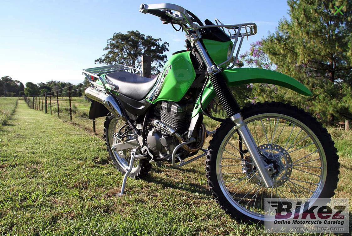 Stockman 250