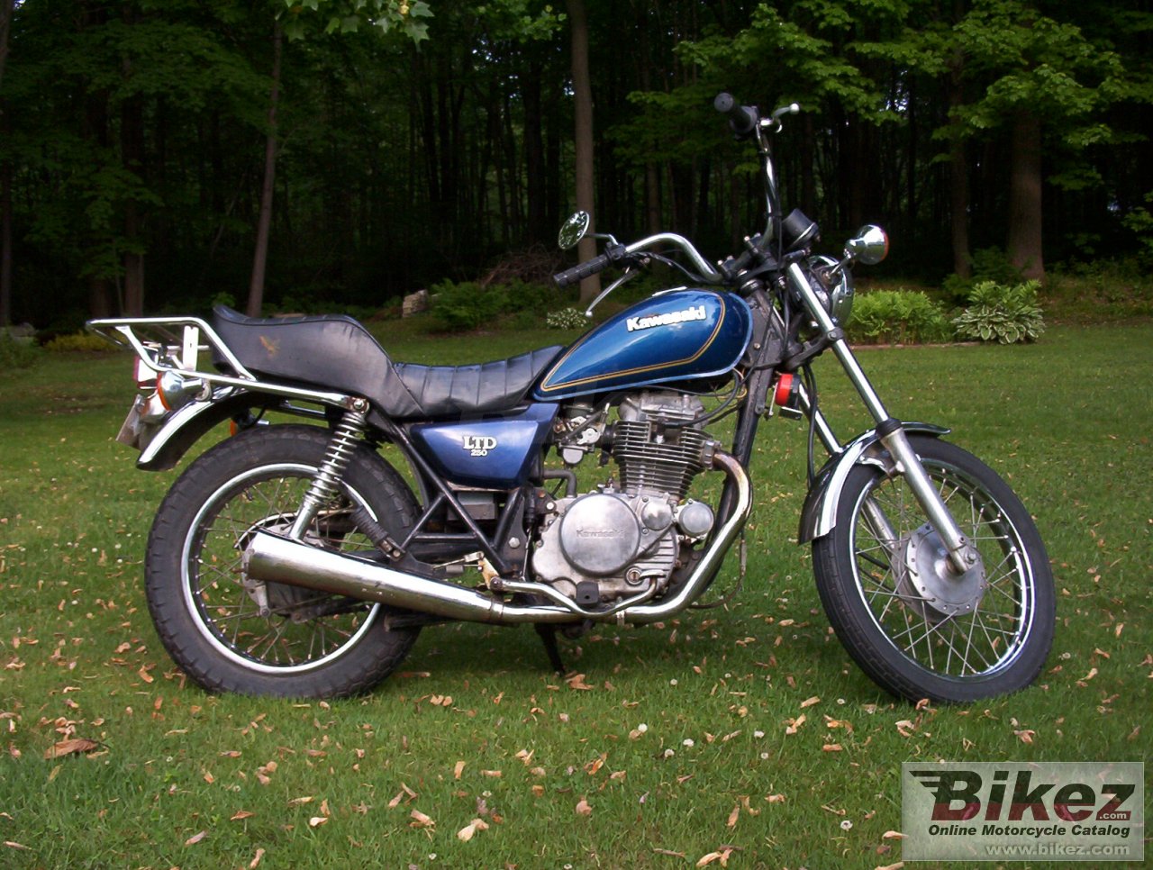 Z 250 Ltd