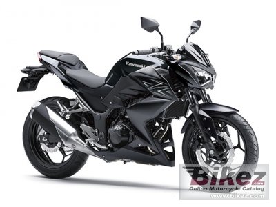Z250