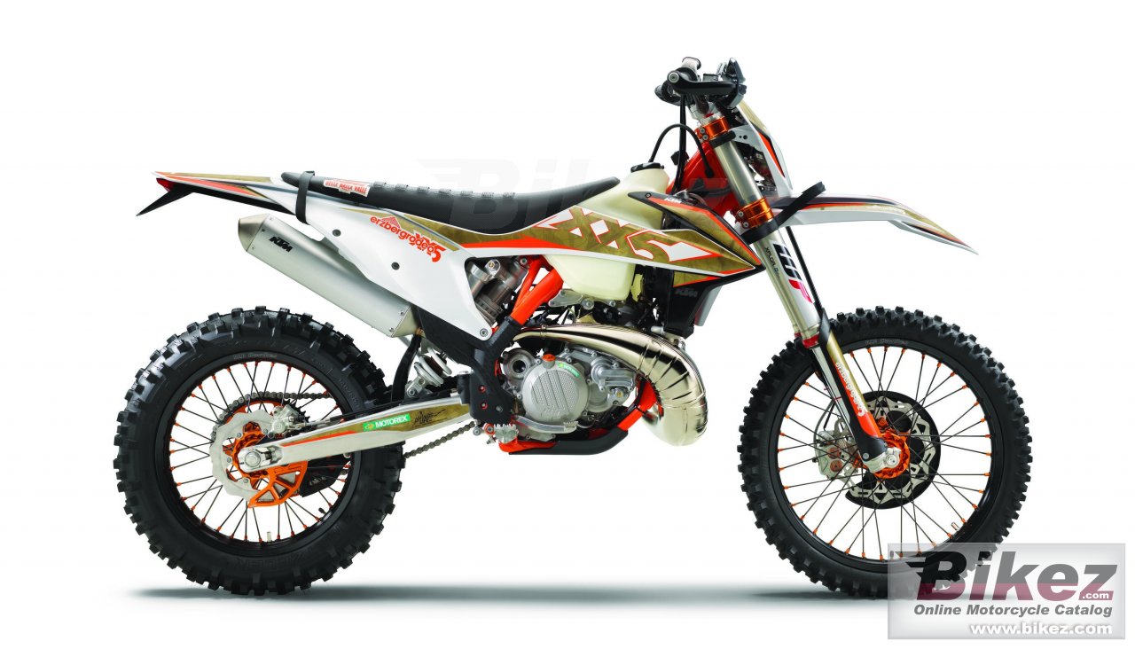 300 Exc Tpi Erzbergrodeo