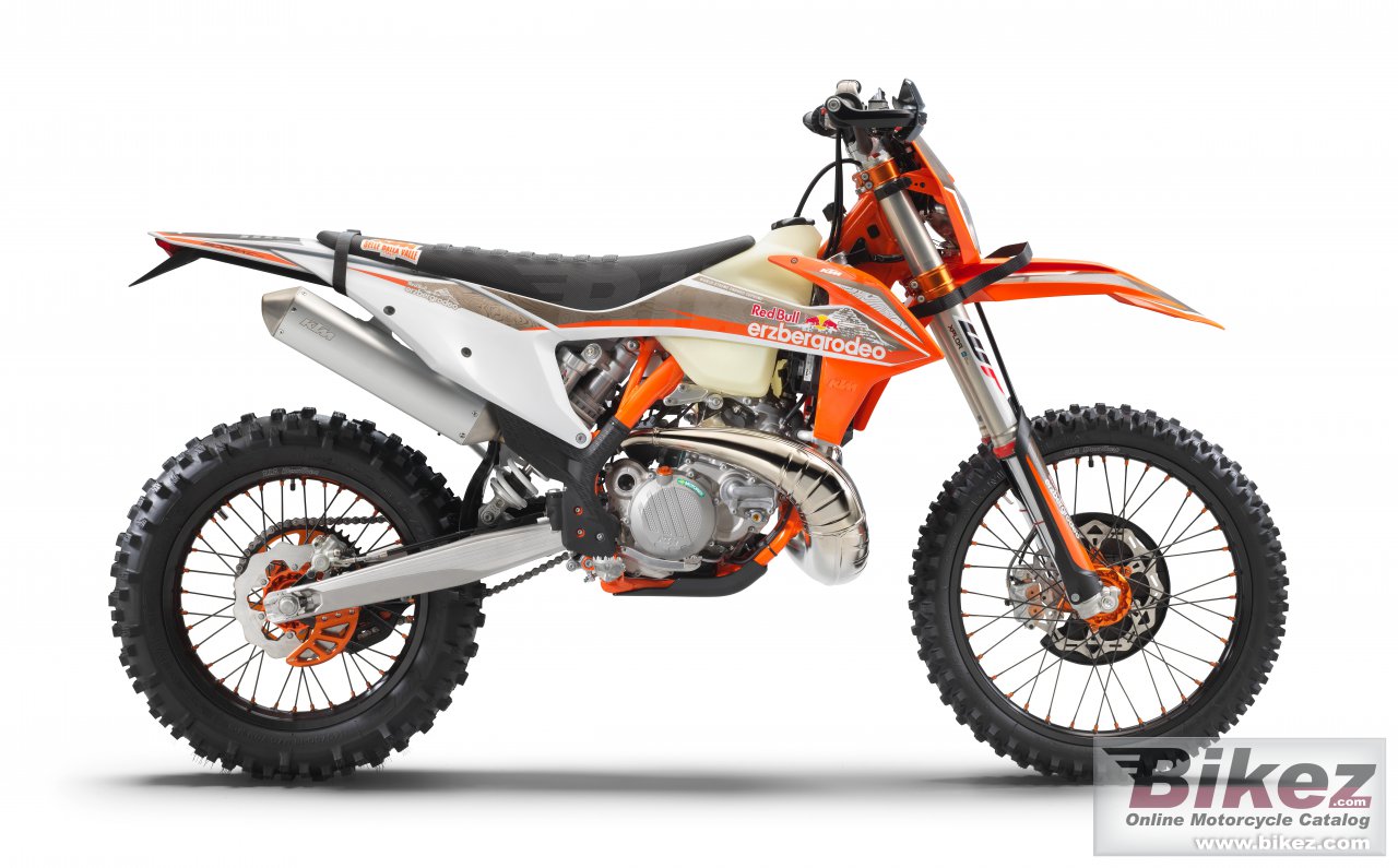 300 Exc Tpi Erzbergrodeo