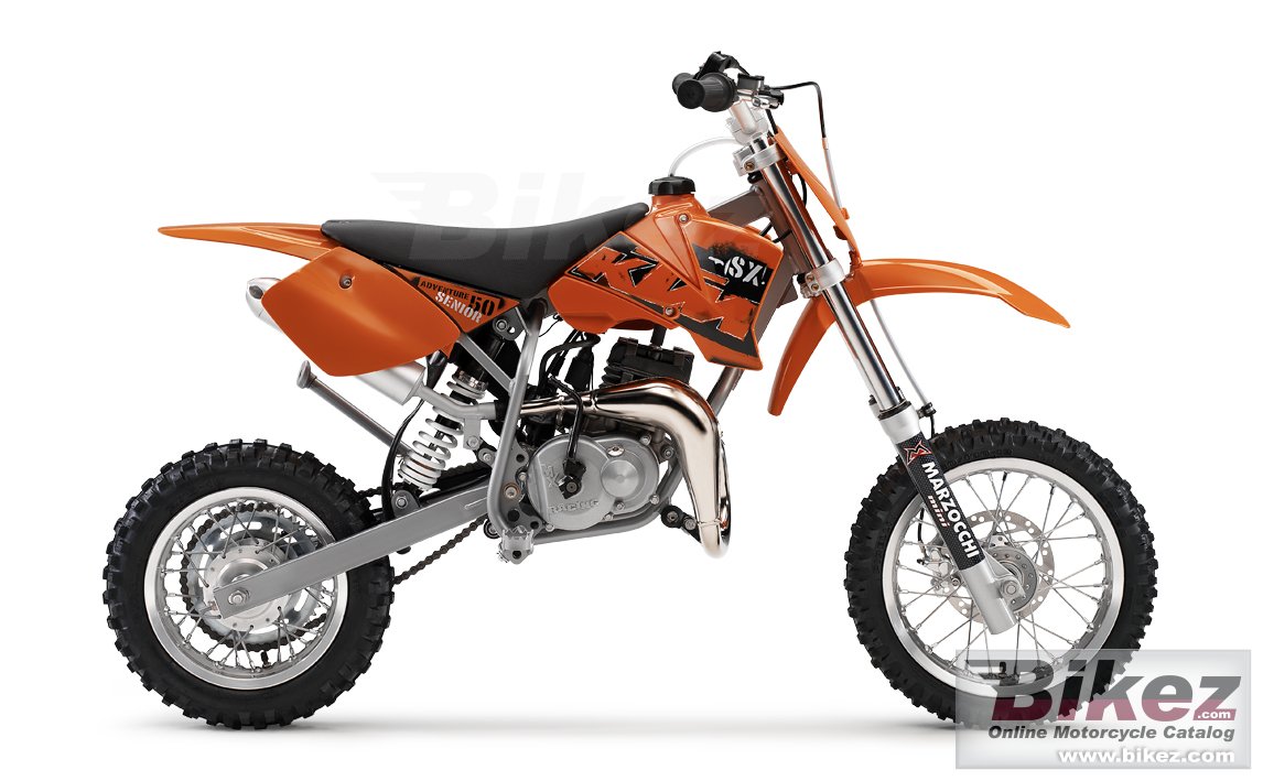 50 Senior Adventurer