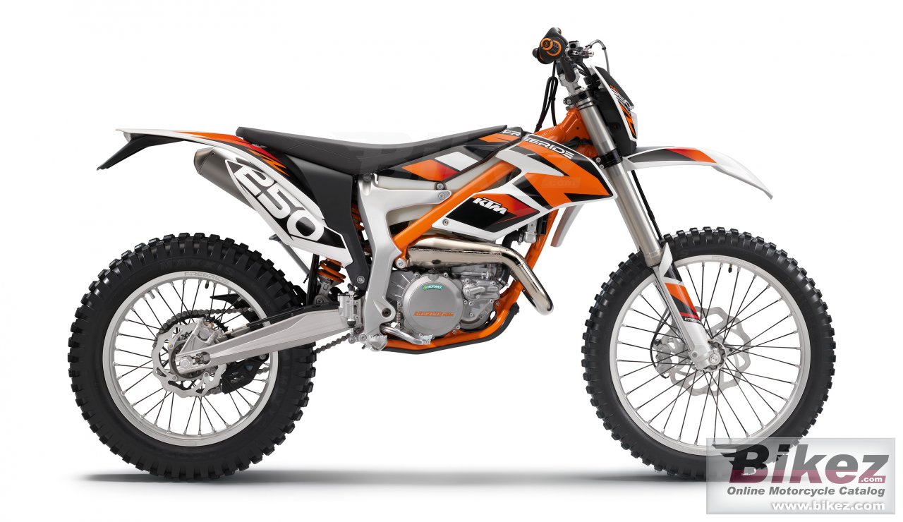 Freeride 250 R