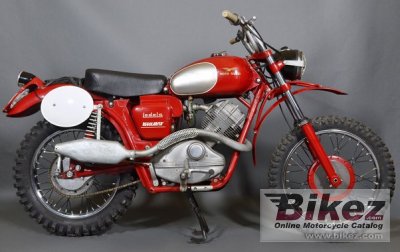 Guzzi Regolarita 250