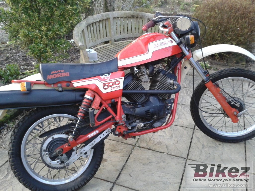 Morini 500 Camel
