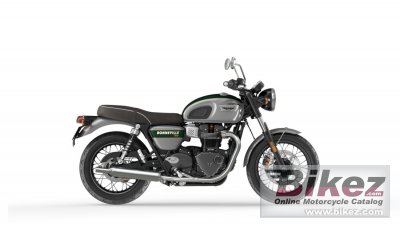 Bonneville T100 Gold Line