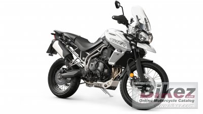 Tiger 800 Xcx