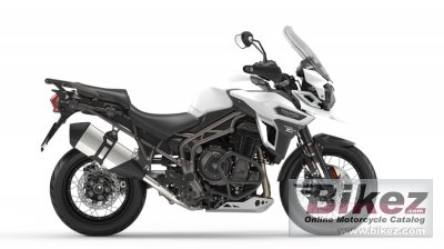 Tiger Explorer Xcx Low