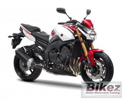 Fz8 Wgp 50Th Anniversary