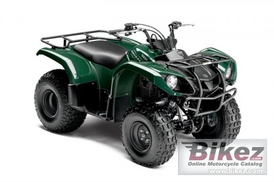 Grizzly 125 Automatic