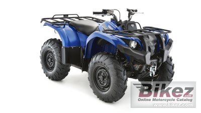 Grizzly 450 Irs