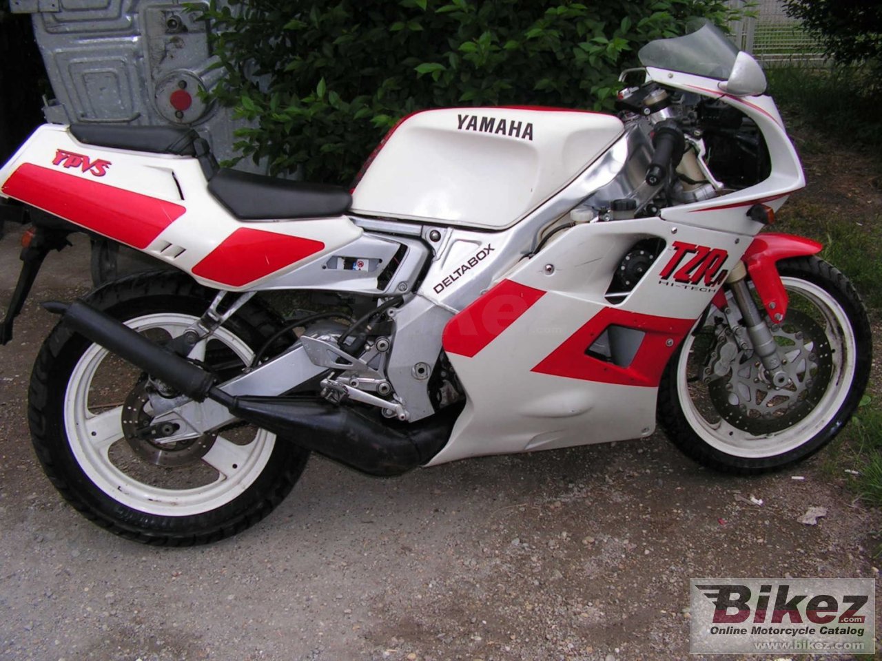 Tzr 125
