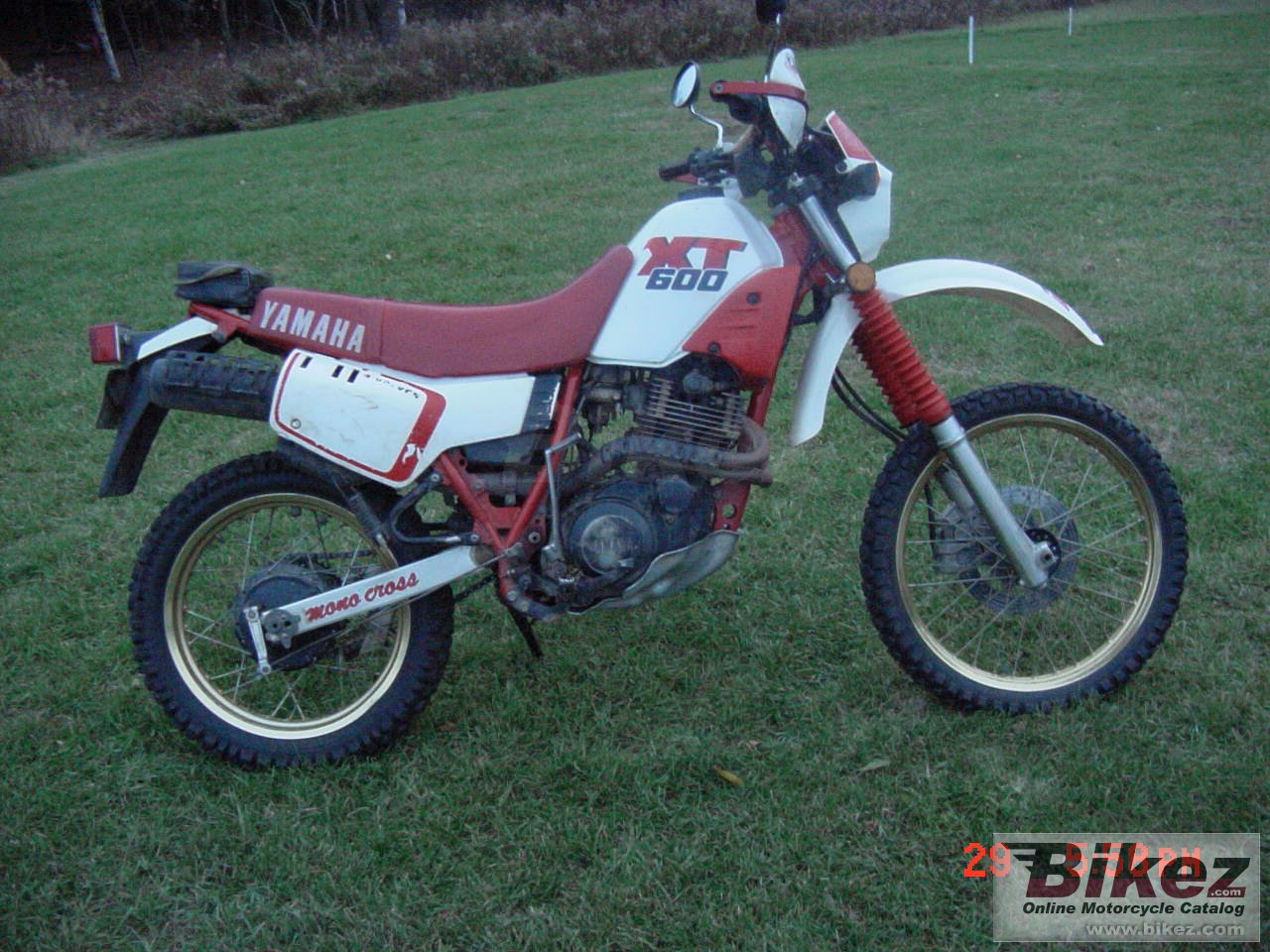 Xt 600