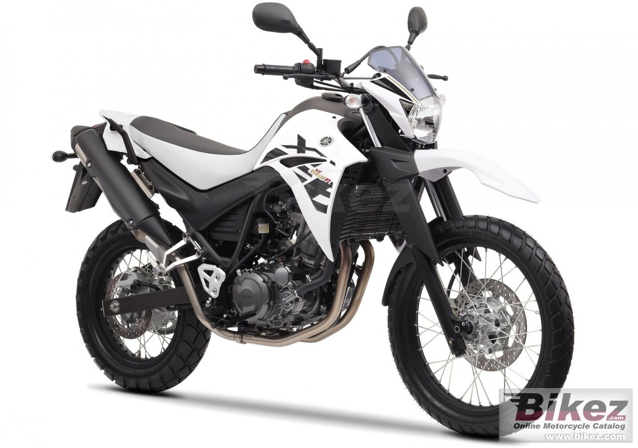 Xt660R