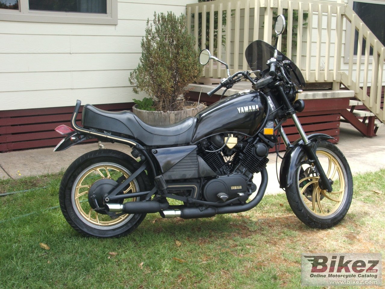 Xv 1000 Se Midnight Special