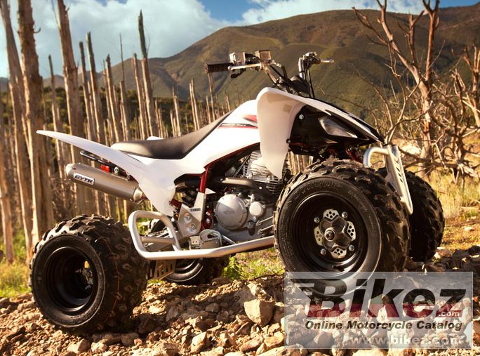 Yfm250R