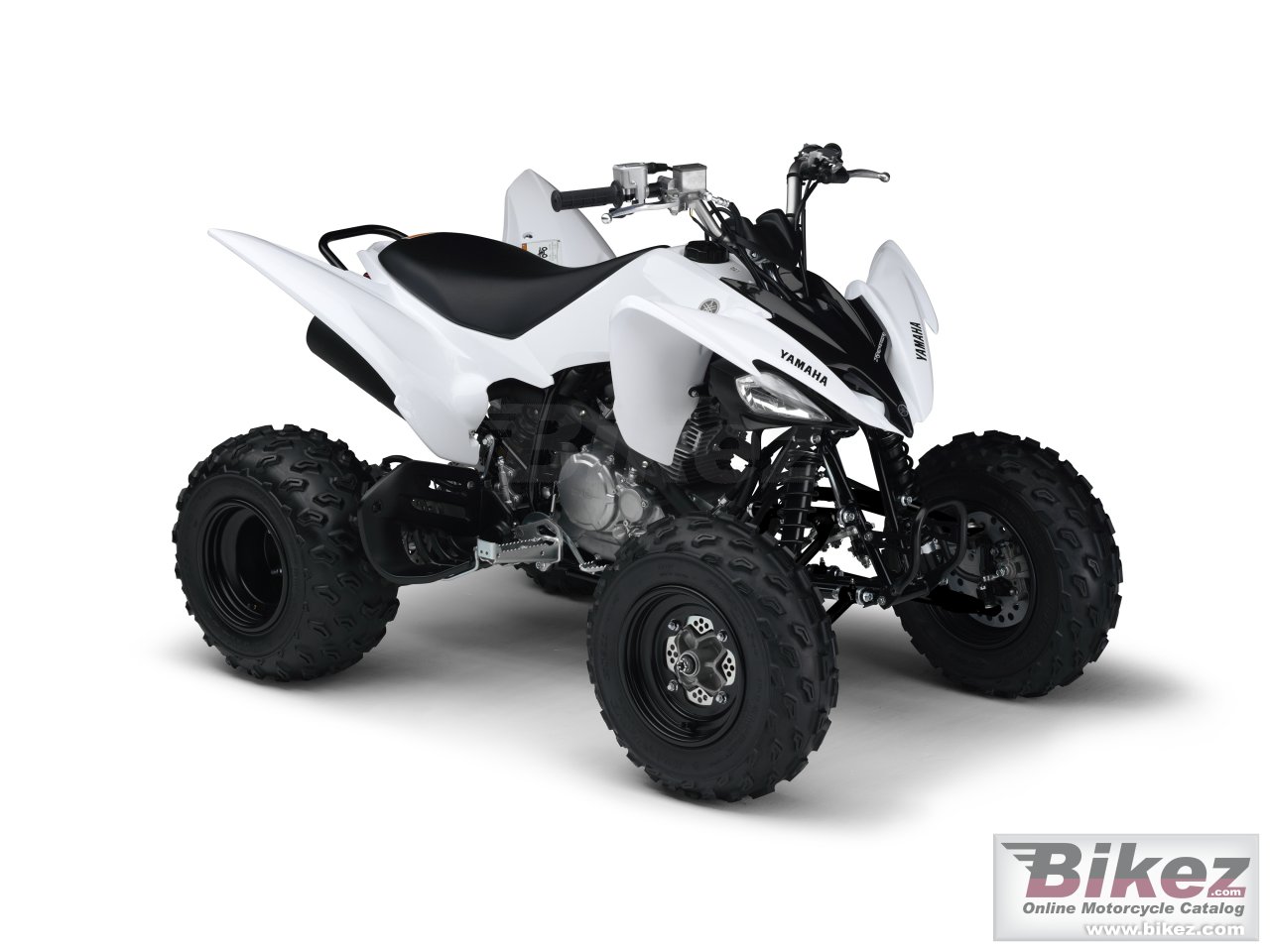 Yfm250R