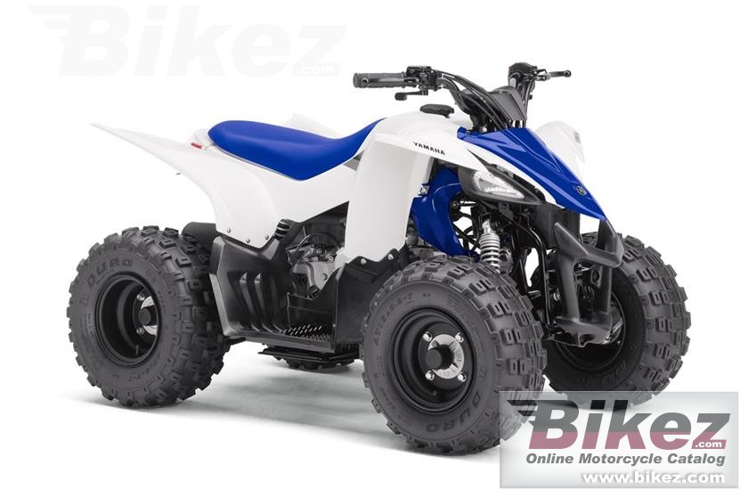 Yfz50