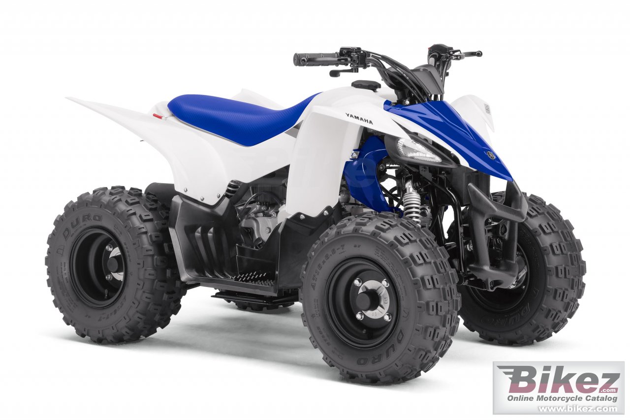 Yfz50