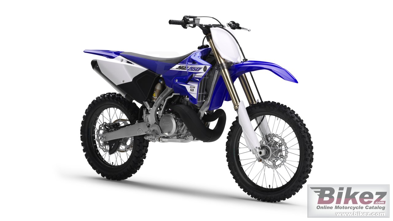 Yz250