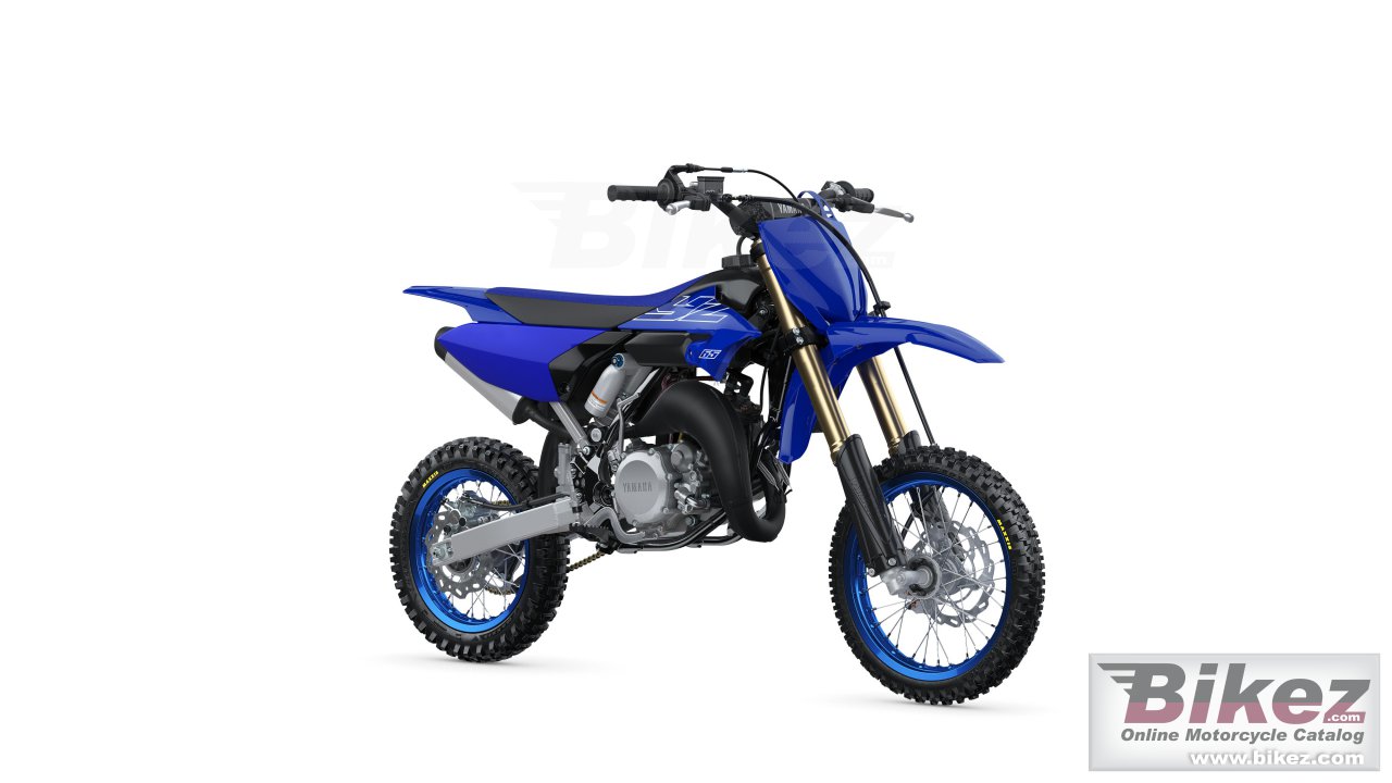 Yz65
