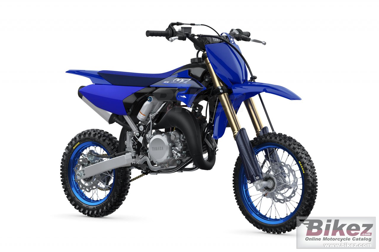 Yz65