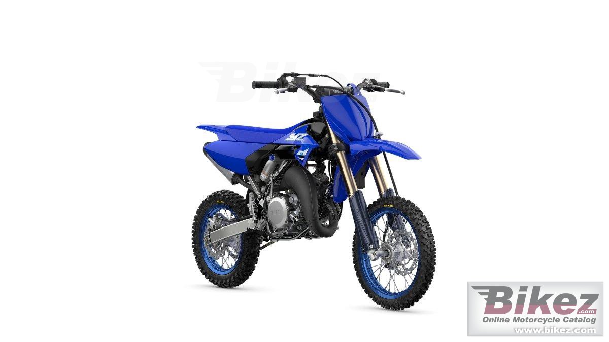 Yz65